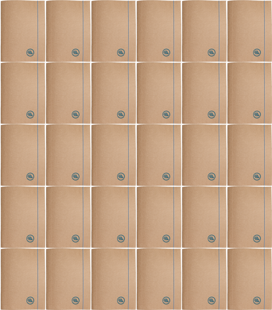 50x Teczka kartonowa z gumką Barbara Eco, A4+, 300g, woda