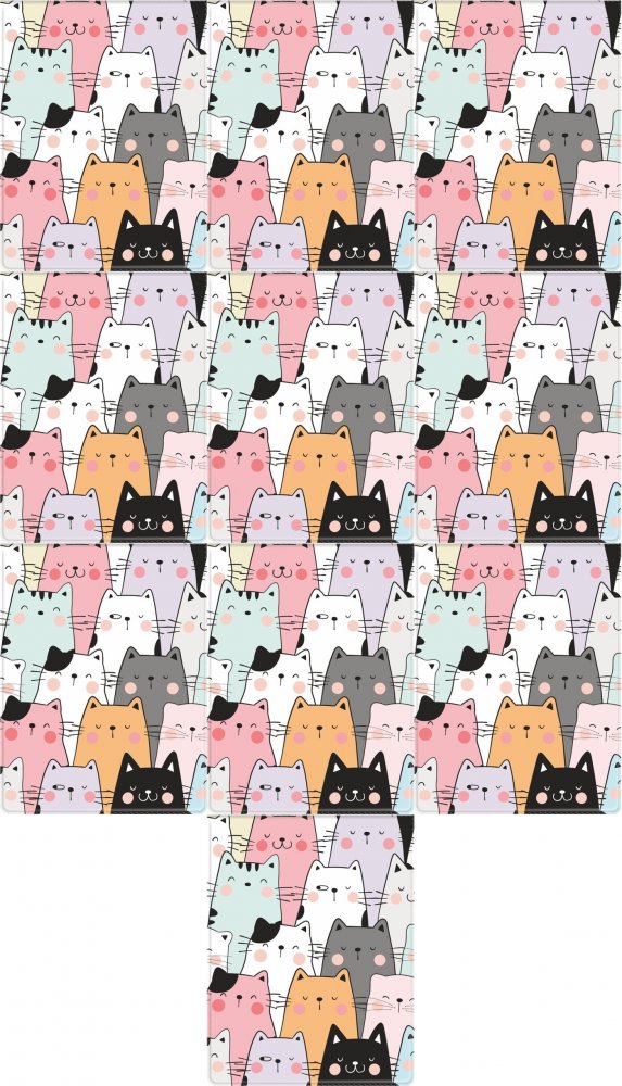 10x Etui na dowód, legitymację, kartę płatniczą, kartę rowerową Biurfol Koty