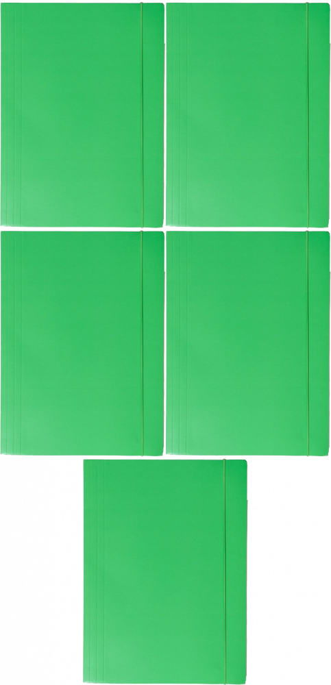 5x Teczka kartonowa z gumką Barbara, lakierowana, A4, 400g, zielony