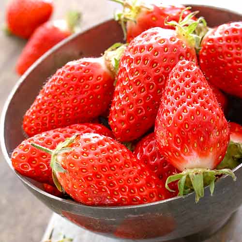 5 buc, Căpșuni Gariguette - Răsaduri: Mod de ambalare: 5 buc