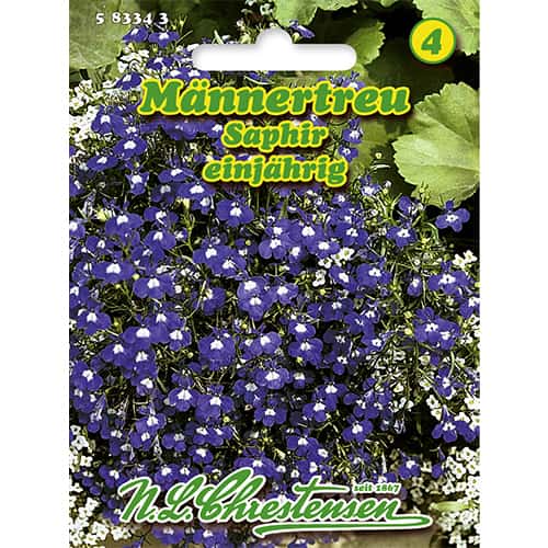 1 pac, Lobelia Saphir - Semințe: Mod de ambalare: 1 pac