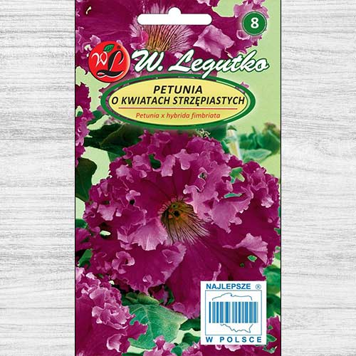 1 pac, Petunie curgătoare violet Legutko - Semințe: Mod de ambalare: 0.01 g