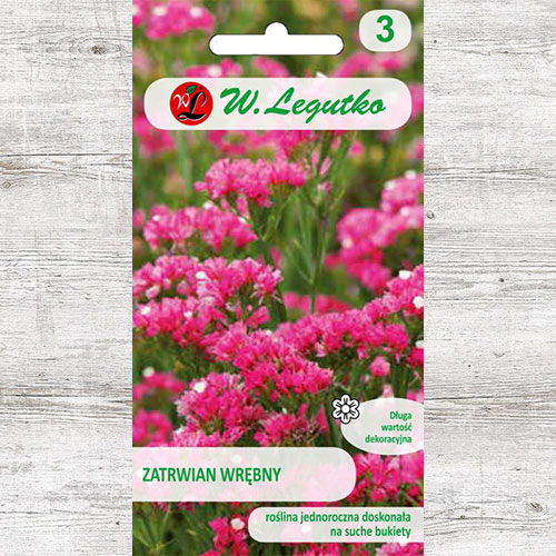 1 pac, Limonium sinuatum (Sărăturică) roz carmin Legutko - Semințe: Mod de ambalare: 0.3 g
