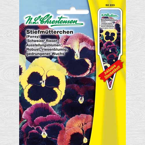 1 pac, Panseluțe Swiss Giant - Semințe: Mod de ambalare: 1 pac