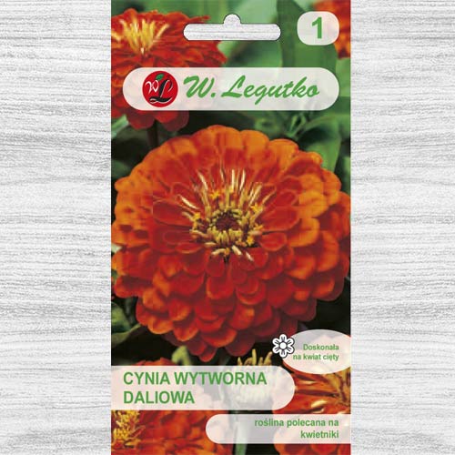 1 pac, Zinnia (Cârciumăreasă) Orange King Legutko - Semințe: Mod de ambalare: 1 g