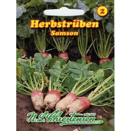 1 pac, Nap de toamnă Samson - Semințe: Mod de ambalare: 1 pac