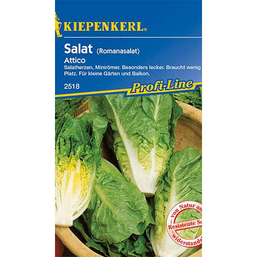 1 pac, Salată romană Attico Kiepenkerl - Semințe: Mod de ambalare: 1 pac