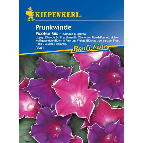 1 pac, Zorele (Ipomea) Picotee, mix multicolor Kiepenkerl - Semințe: Mod de ambalare: 1 pac