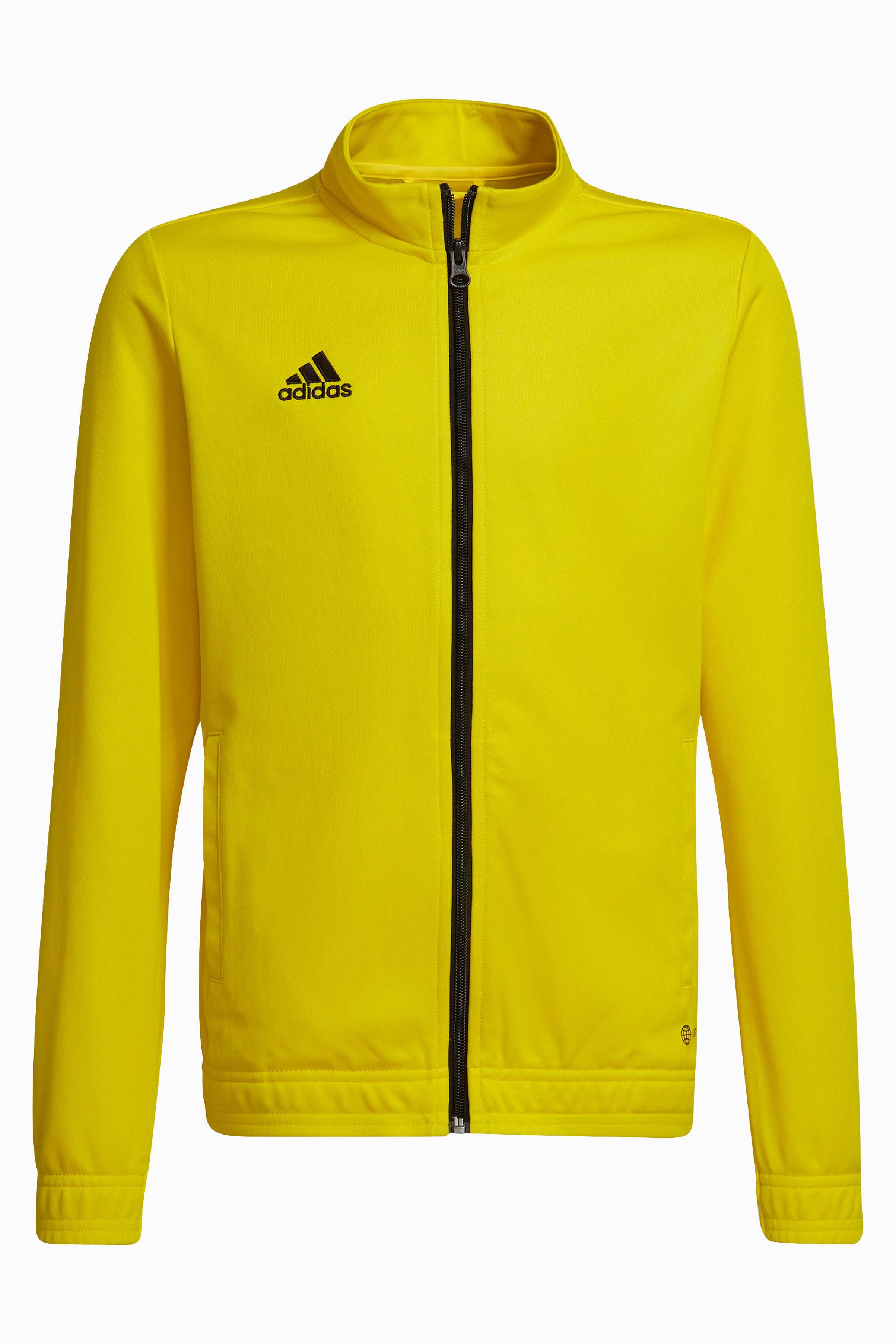Bluza adidas Entrada 22 Track Junior - Żółty