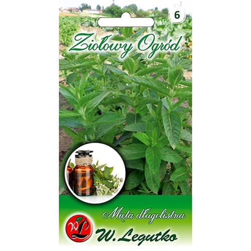 0.1 g, Máta dlouholistá - : Monžstvo balíkov: 0.1 g