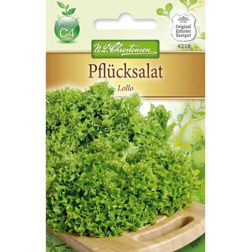 1 ob, Salát listový Lollo - : Monžstvo balíkov: 1 ob