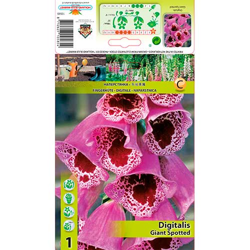 1 db, Gyűszűvirág (Digitalis) Giant Spotted - Évelő: Mod de ambalare: 1 db