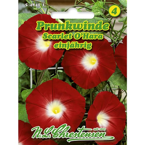 1 szt, Hajnalka Scarlet O`Hara, színkeverék - Magok: Mod de ambalare: 1 db