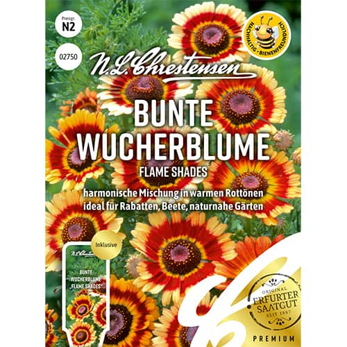 1 szt, Bunte Wucherblume Flame Shades - Samen: Ilość w opakowaniu: 1 Stück