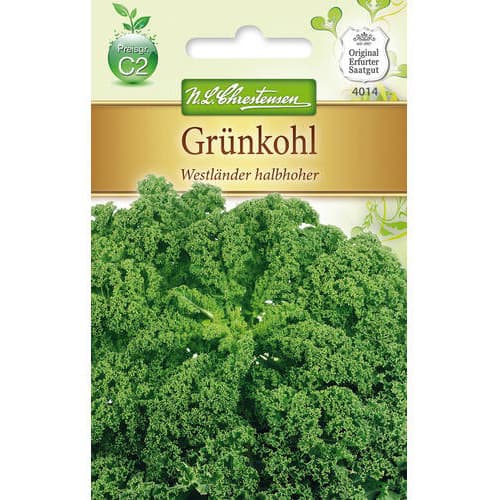 1 szt, Grünkohl Westlander halbhoher - Samen: Ilość w opakowaniu: 1 Stück