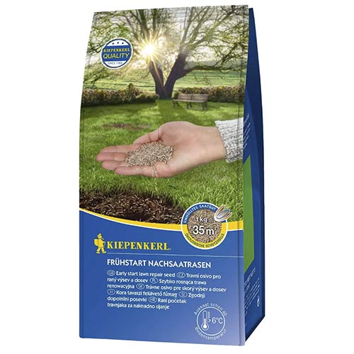 1 szt, Frühstart Nachsaatrasen (1 kg) - Samen: Ilość w opakowaniu: 1 Stück