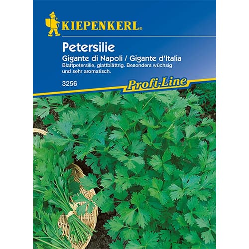 1 szt, Petersilie Gigante di Napoli - Samen: Ilość w opakowaniu: 1 Stück