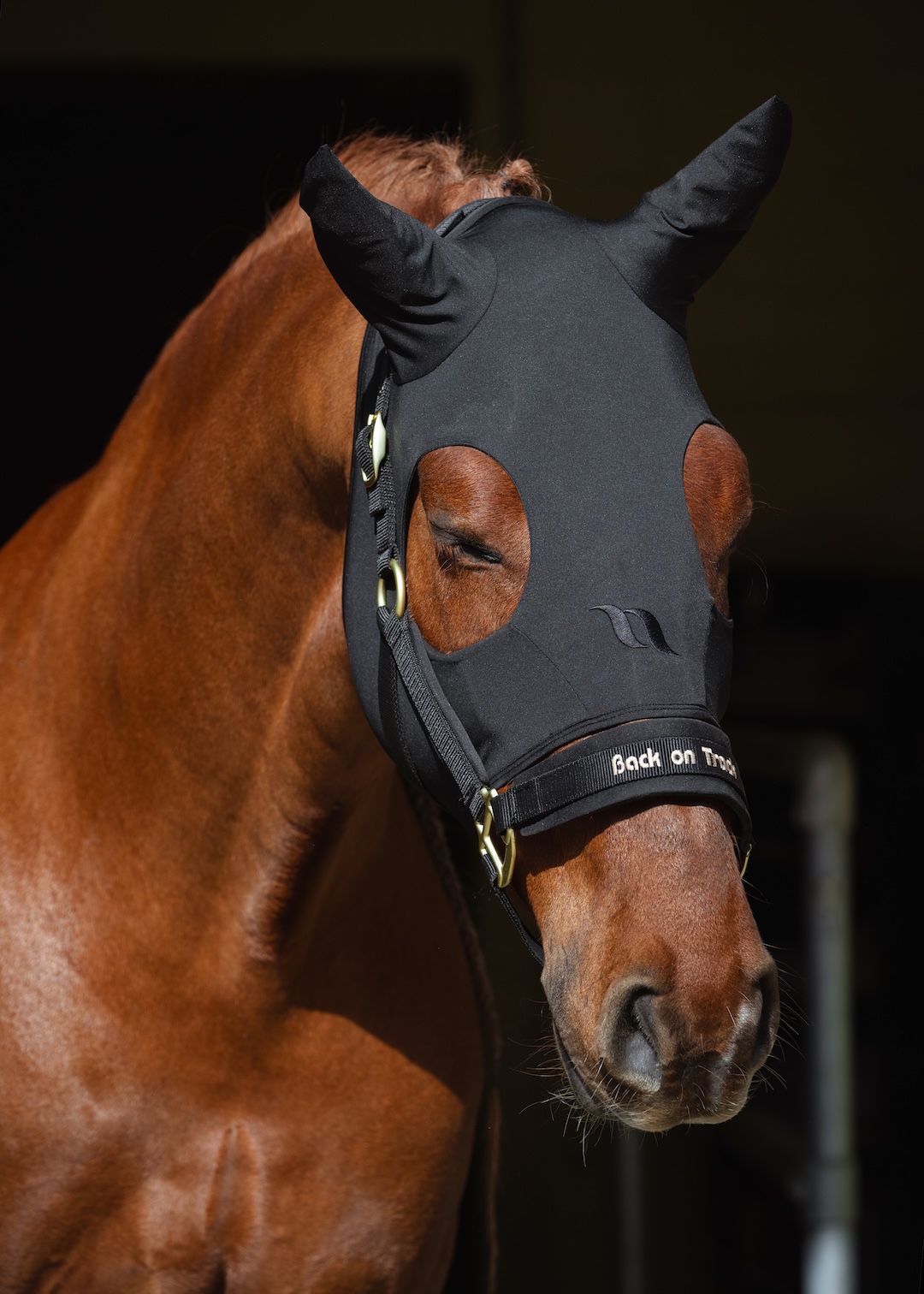 Back on Track Spirit maska uspokajająca dla konia 24h