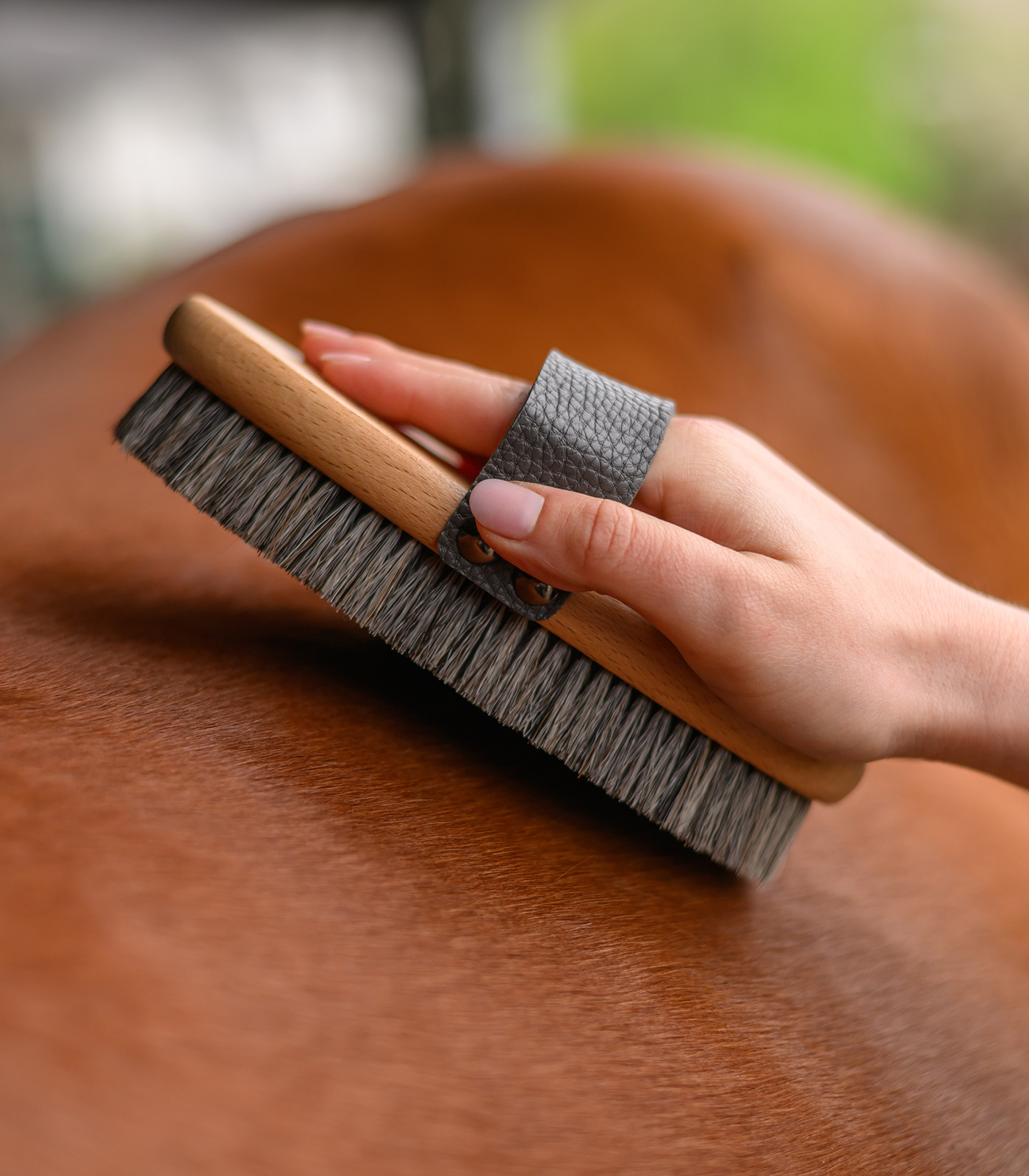 Waldhausen szczotka Exclusive Body, mieszane włosie