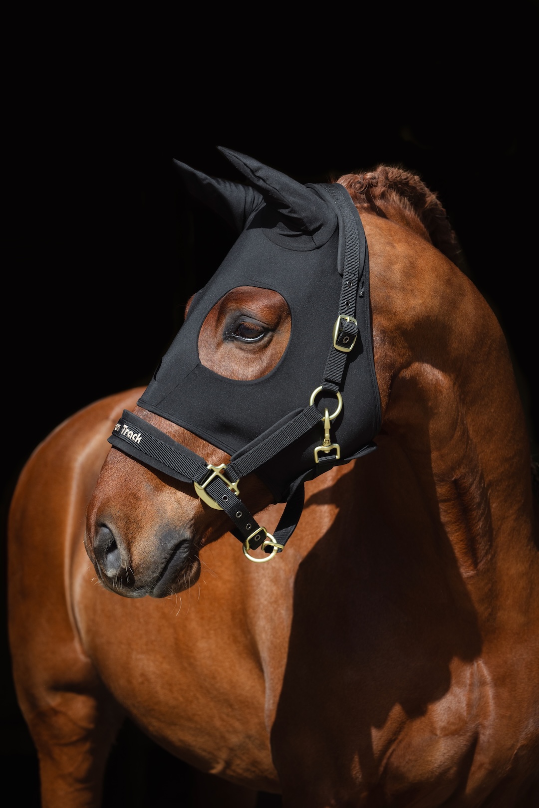 Back on Track Spirit maska uspokajająca dla konia