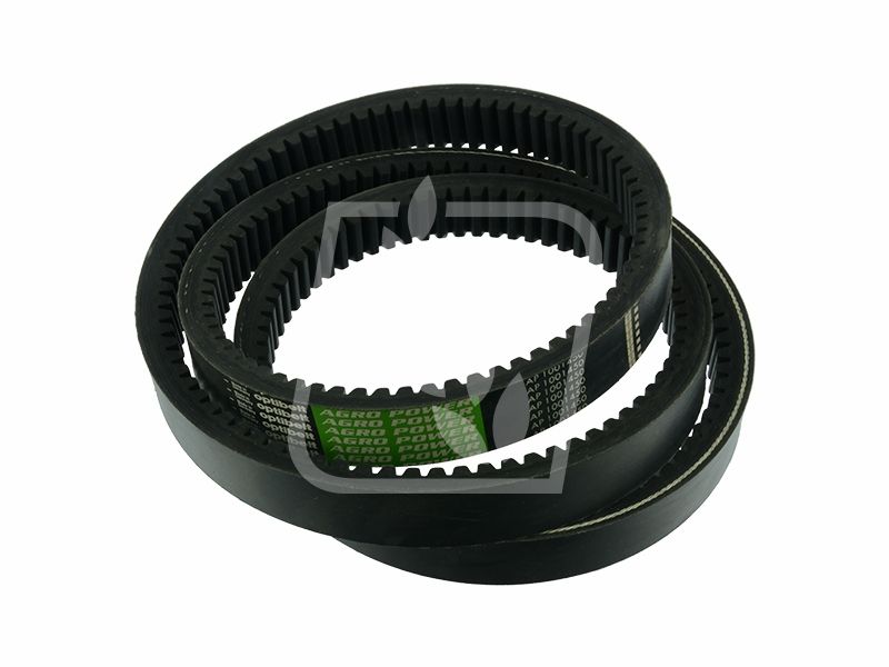 Pas jezdny zębaty Massey Ferguson 38x2594 905920M1 Optibelt