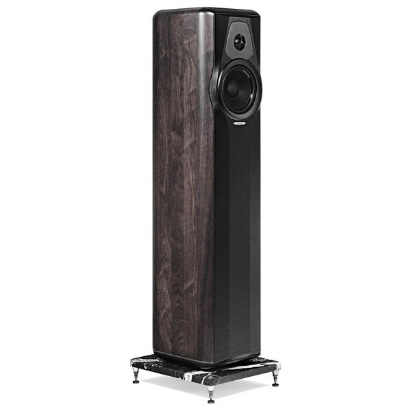 Kolumna sonus faber maxima amator