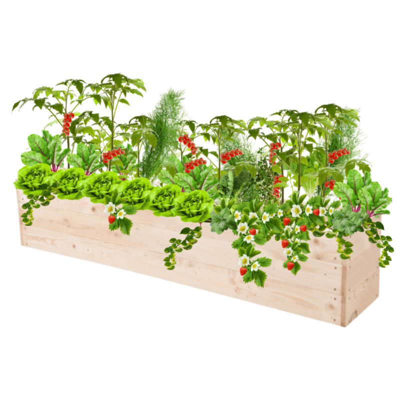 Donica na warzywa MODO24 grządka naturalne drewno 27x120x30 cm 1 szt.