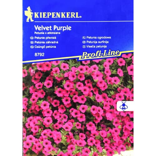 1 szt, Petunia Fortunia Purple Velvet - Nasiona: Ilość w opakowaniu: 10 dr
