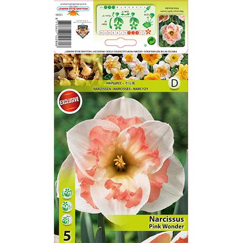 5 szt., Narcyz Pink Wonder - Cebule: Ilość w opakowaniu: 5 szt.