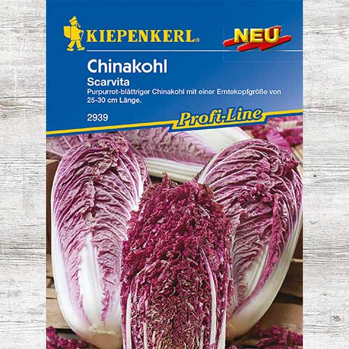 1 szt, Kapusta pekińska Scarvita F1 - Nasiona: Ilość w opakowaniu: 1 opak