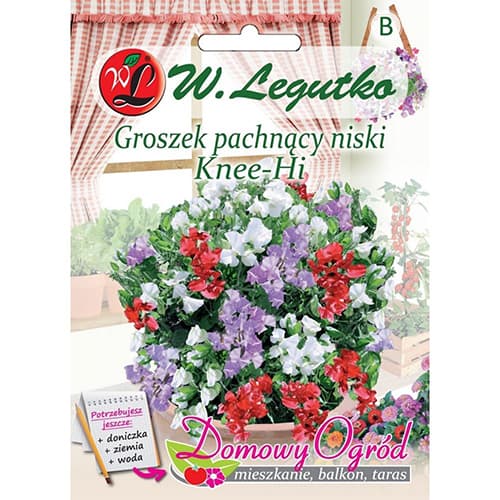 1 szt, Groszek pachnący Knee-Hi - Nasiona: Ilość w opakowaniu: 5 g