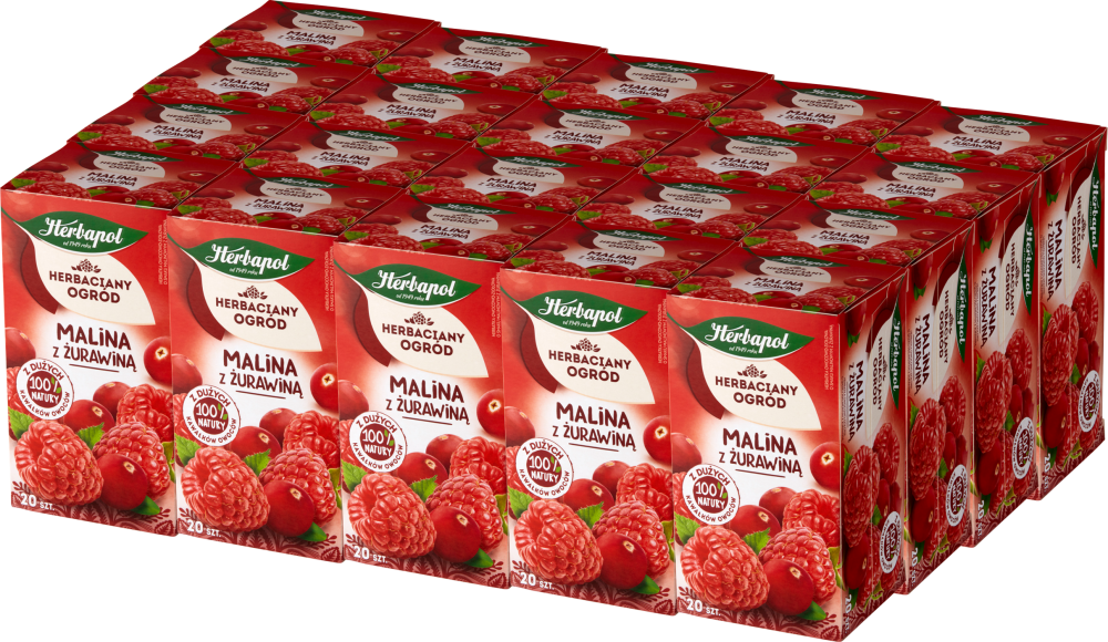 20x Herbata owocowa w torebkach Herbapol Herbaciany Ogród, malina i żurawina, 20 sztuk x 3g