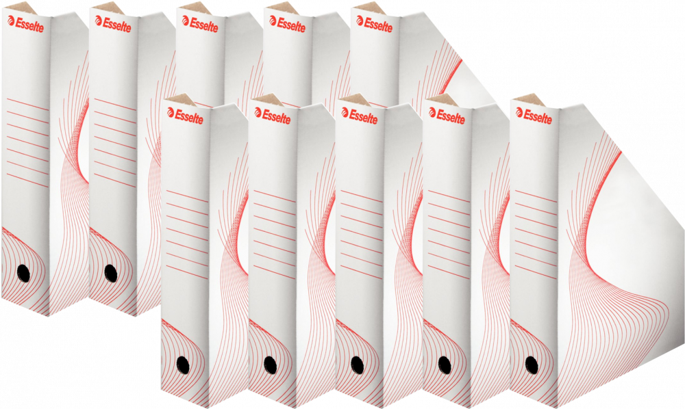 10x pojemnik kartonowy na dokumenty Esselte, A4, 80mm, do 800 kartek, biały