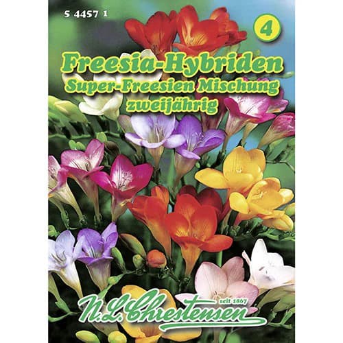 1 pac, Frezie bianuală, mix multicolor - Semințe: Mod de ambalare: 1 pac