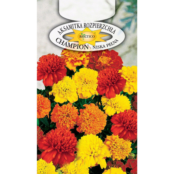Nasiona Aksamitka Rozpierzchła Champion 0,3g