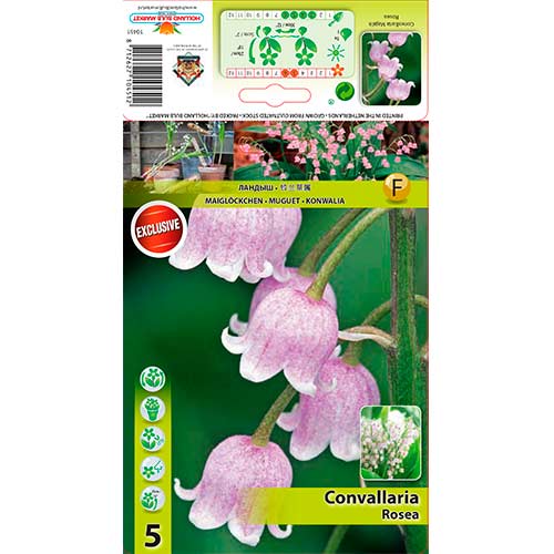 5 cib, Konvalinka vonná Rosea - : Monžstvo balíkov: 5 cib