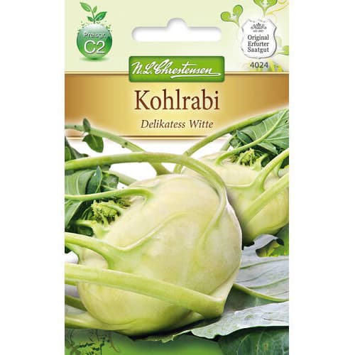 1 szt, Kohlrabi Delikatess weisser - Samen: Ilość w opakowaniu: 1 Stück