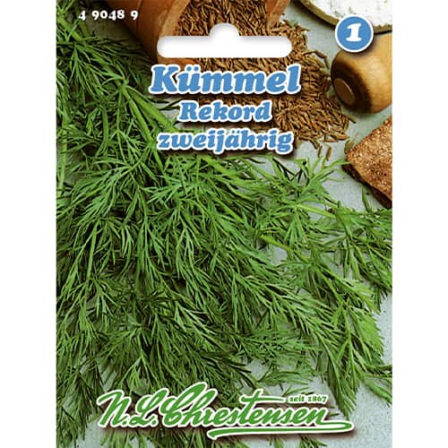 1 szt, Kümmel Rekord - Samen: Ilość w opakowaniu: 1 Stück