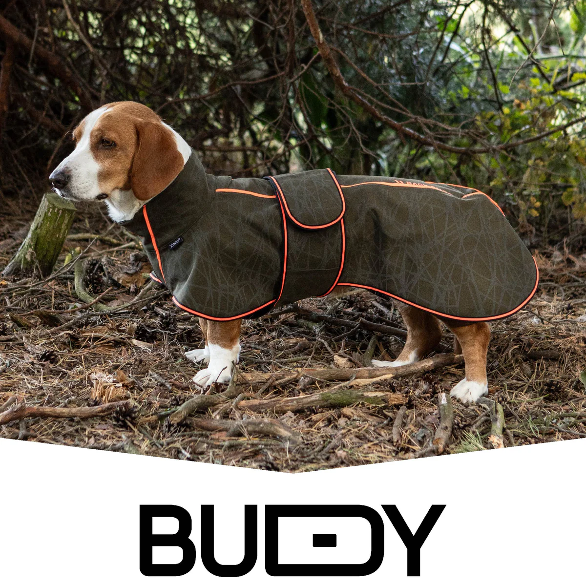 Back on Track Buddy 2.0 Softshell kurtka dla jamnika