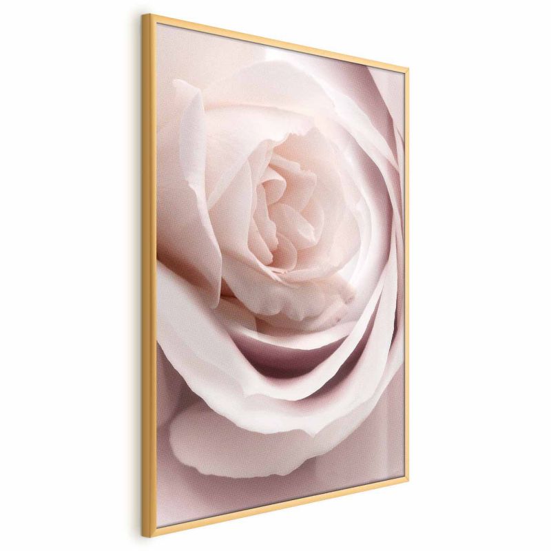 Plakat Artgeist Porcelanowa róża 60x90 cm z ramą złotą 1 szt