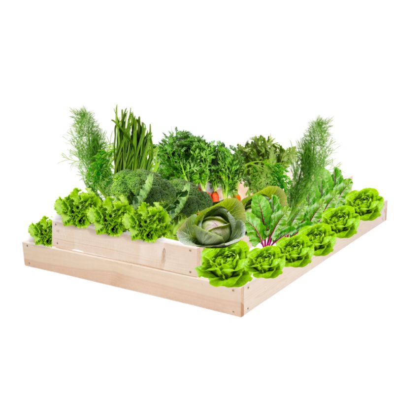 Skrzynia warzywna MODO24 regulowana inspekt 18x90x120 cm przezroczyste impregnowane drewno 1 szt