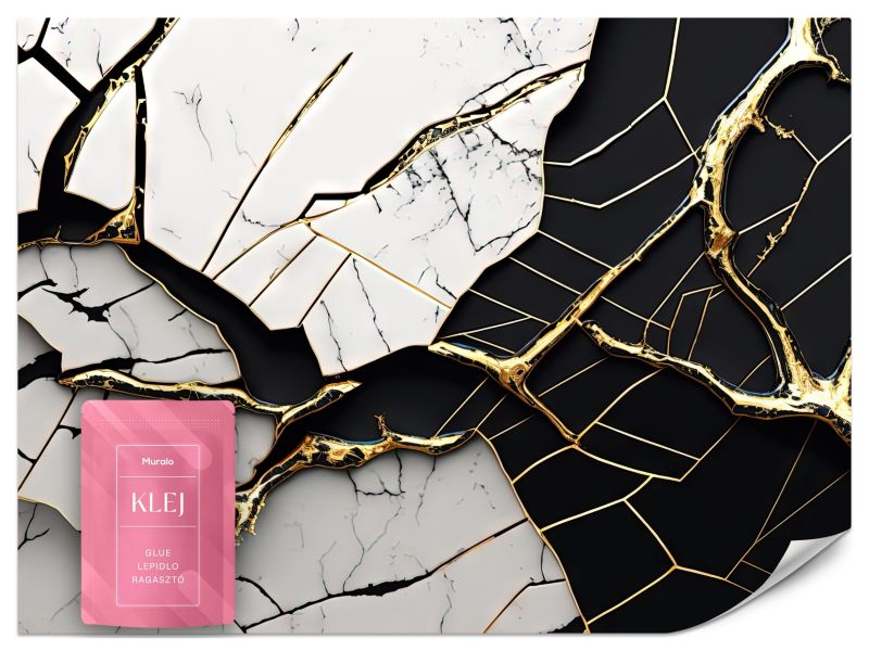 Fototapeta Muralo Czarno-biały Abstrakcyjny Marmur 500x350 cm 1szt.