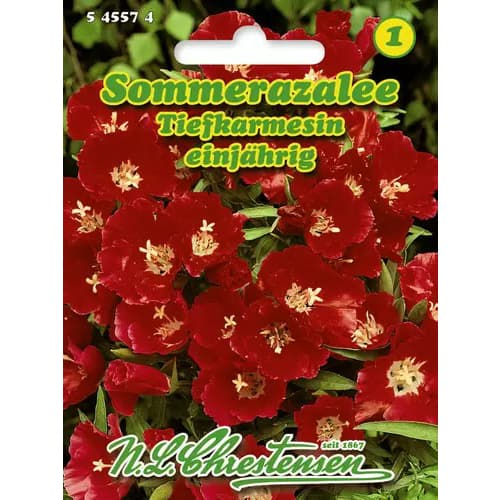 1 szt, Sommerazalee Tiefkarmesin - Samen: Ilość w opakowaniu: 1 Stück