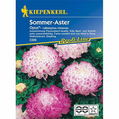1 szt, Aster chiński piwoniowy Opus Kiepenkerl - Nasiona: Ilość w opakowaniu: 1 opak
