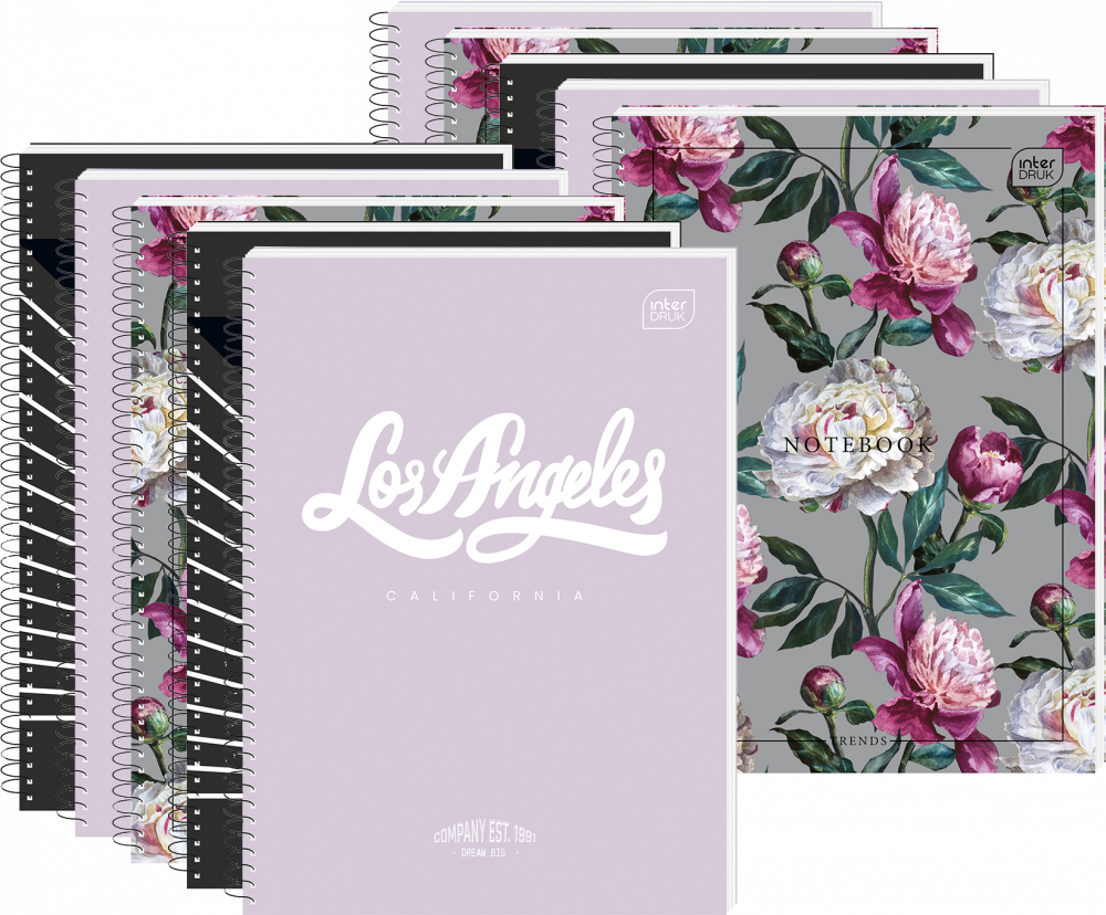 10x Kołonotatnik Interdruk, A5, w linie, 100 kartek, mix wzorów