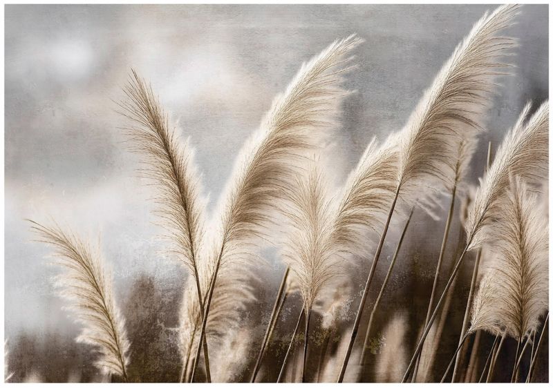 Fototapeta WALLARENA Do Sypialni Salonu Winylowa Trawa Pampasowa Łąka Natura Beżowy 368x254 cm 16006W8 1 szt.