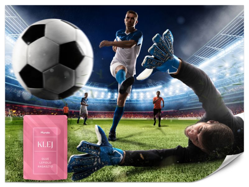 Fototapeta Muralo Mecz Piłki Nożnej 300x210 cm 1szt.