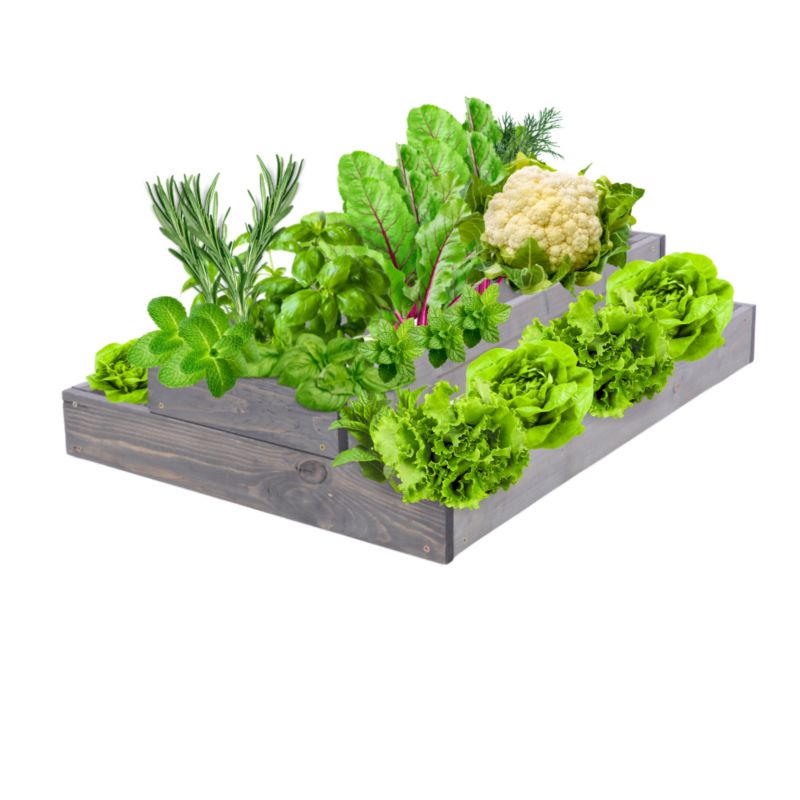 Skrzynia warzywna MODO24 regulowana inspekt 18x60x90 cm szare impregnowane drewno 1 szt