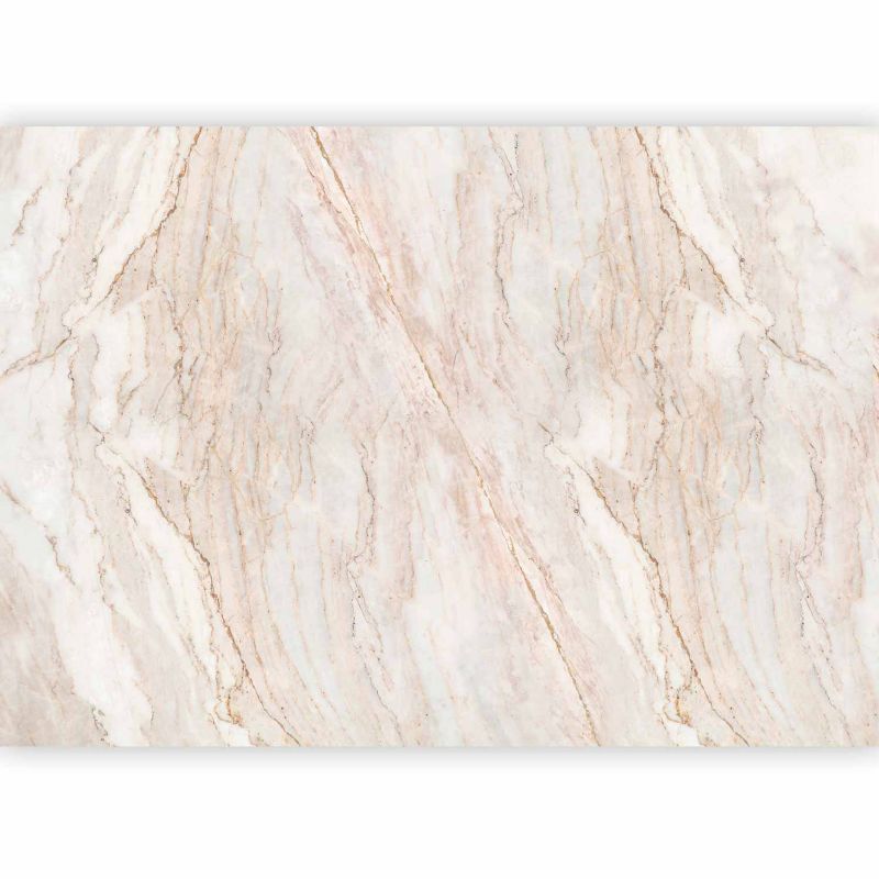 Fototapeta flizelinowa Premium Artgeist 155g/m2 Abstrakcje beżowa 350x256 (7 części) 10139aa rolka 1 szt