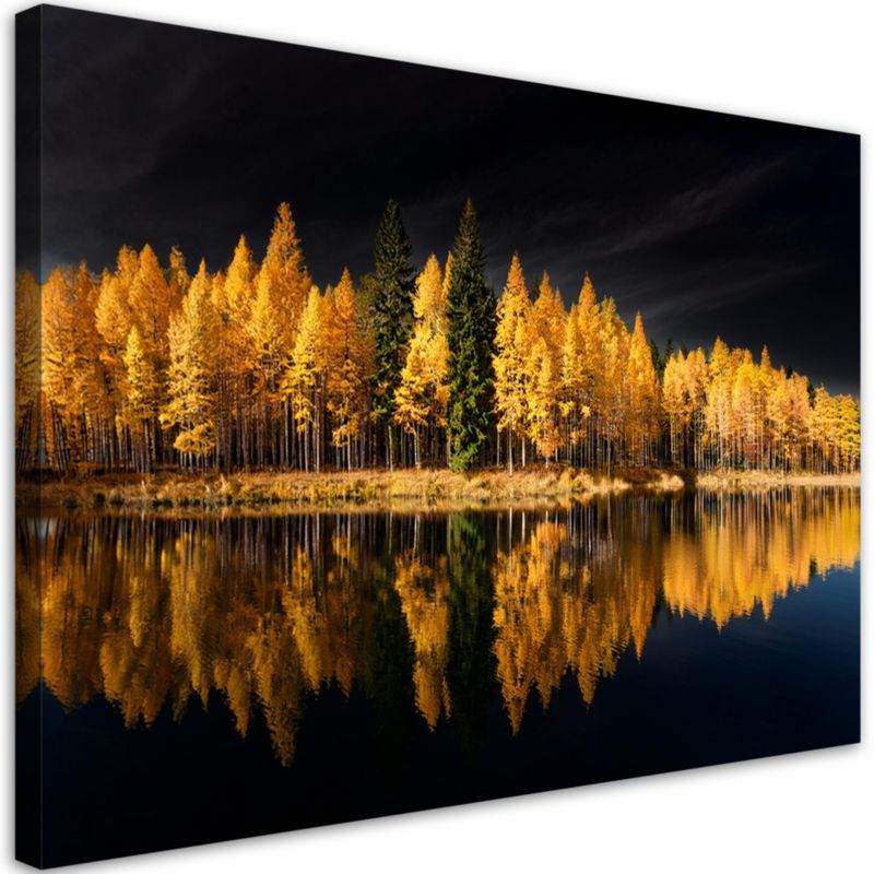 Obraz do salonu sypialni Feeby Krajobraz Las Natura Złoty 100x70 cm 1 szt